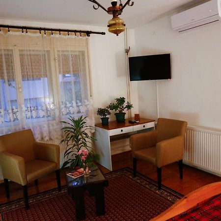 Apartman Carpe Diem Apartment Zajecar Bagian luar foto