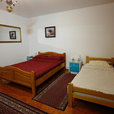 Apartman Carpe Diem Apartment Zajecar Bagian luar foto