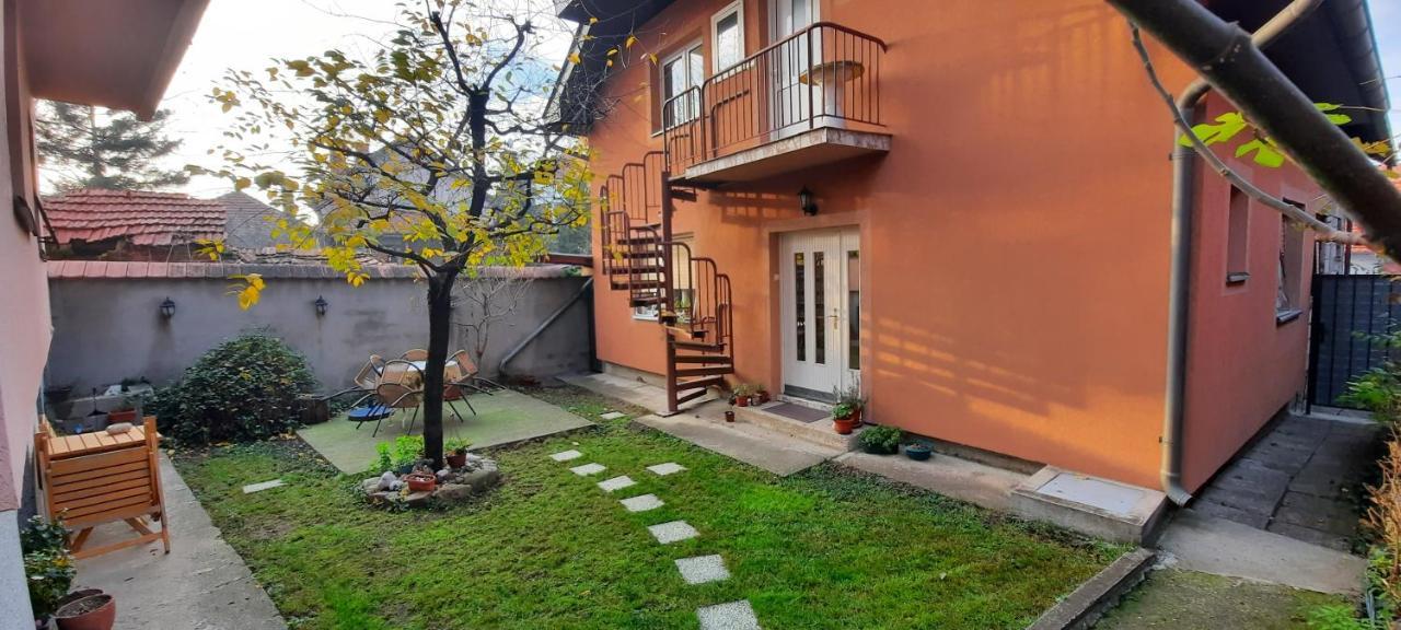 Apartman Carpe Diem Apartment Zajecar Bagian luar foto